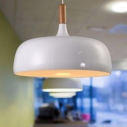 Moderne, eigentijdse landelijke metalen hanglamp