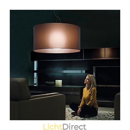 Klassieke stijl ijzeren plafondlamp met kap