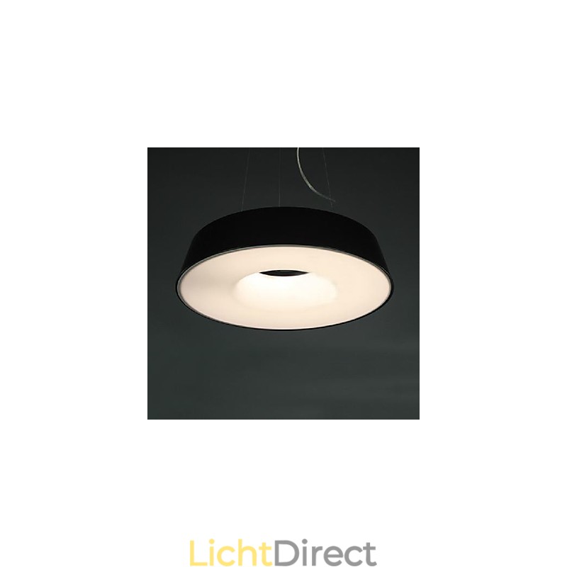 5 Moderne, eigentijdse metalen hanglamp met schilderij