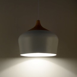 Hanglampen Modern Hedendaags Metaal