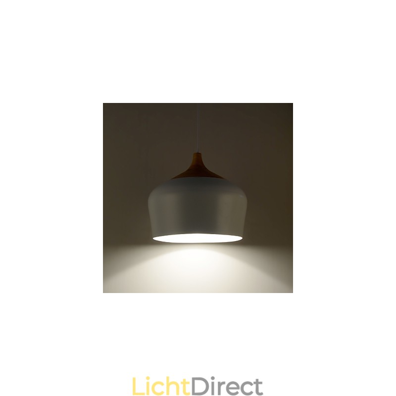 Hanglampen Modern Hedendaags Metaal