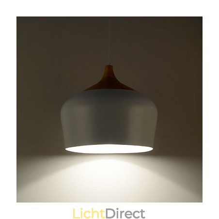 Hanglampen Modern Hedendaags Metaal Hanglampen Modern Hedendaags Metaal