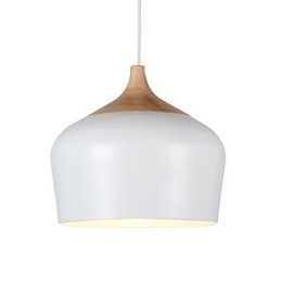 Hanglampen Modern Hedendaags Metaal