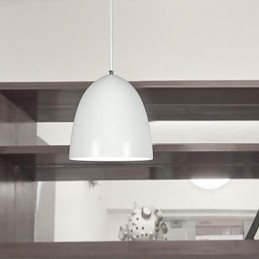Moderne, eigentijdse metalen hanglamp met schilderij
