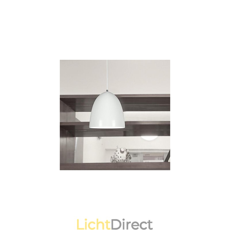 Moderne, eigentijdse metalen hanglamp met schilderij