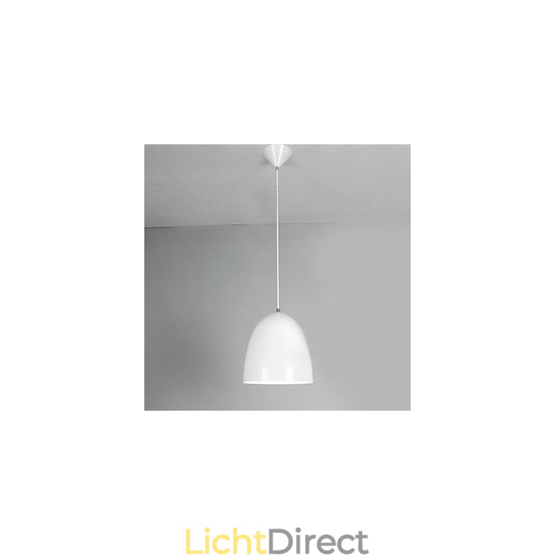 Moderne, eigentijdse metalen hanglamp met schilderij