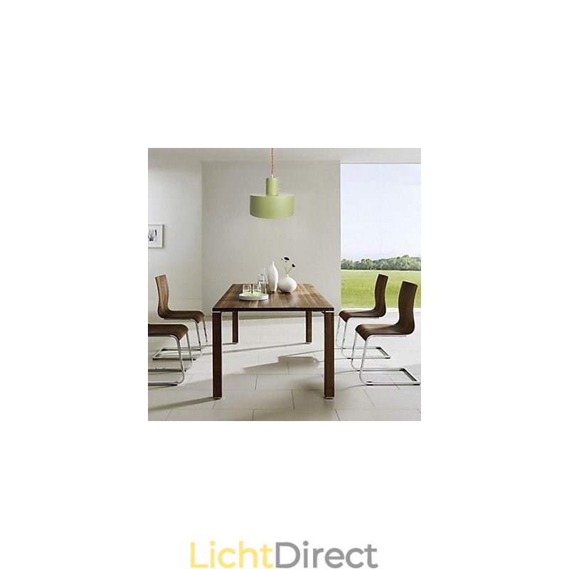 Moderne, eigentijdse, landelijke mini-stijl schilderij metalen hanglamp voor kinderen