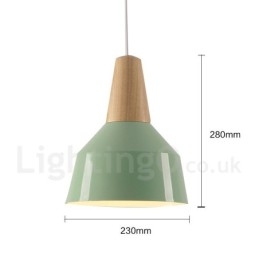 1 Lichts Moderne Hedendaagse Houten Hanglamp