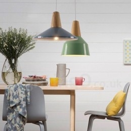 1 Lichts Moderne Hedendaagse Houten Hanglamp