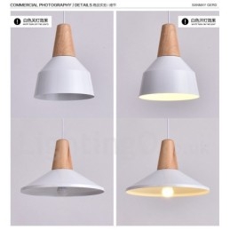 1 Lichts Moderne Hedendaagse Houten Hanglamp