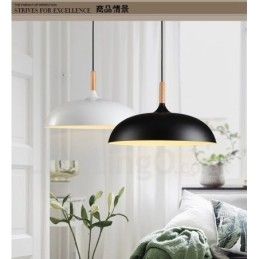 Slaapkamer Moderne Hedendaagse 1 Licht Metalen Hanglamp