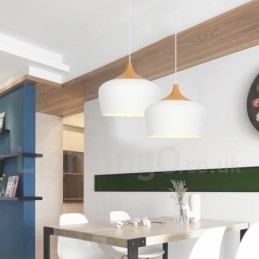 Moderne, eigentijdse hanglamp met 1 lichtbron