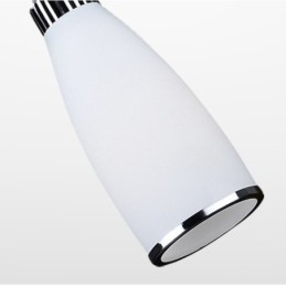 1 Lichts Moderne Hedendaagse Geïntegreerde Metalen Hanglamp