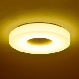 Dimbare ultradunne ronde plafondlamp van hout met acryl kap Plafondlamp in Scandinavische stijl