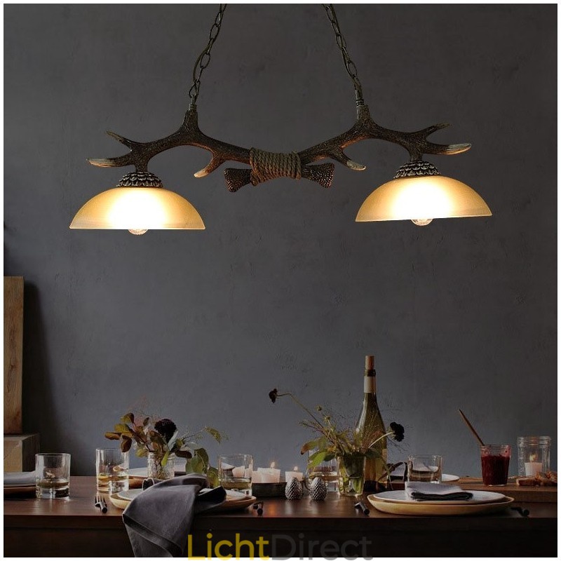 2-lichts zwarte rustieke artistieke retro gewei antieke hanglamp met glazen kap