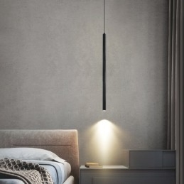 Eenvoudige moderne eigentijdse hanglamp