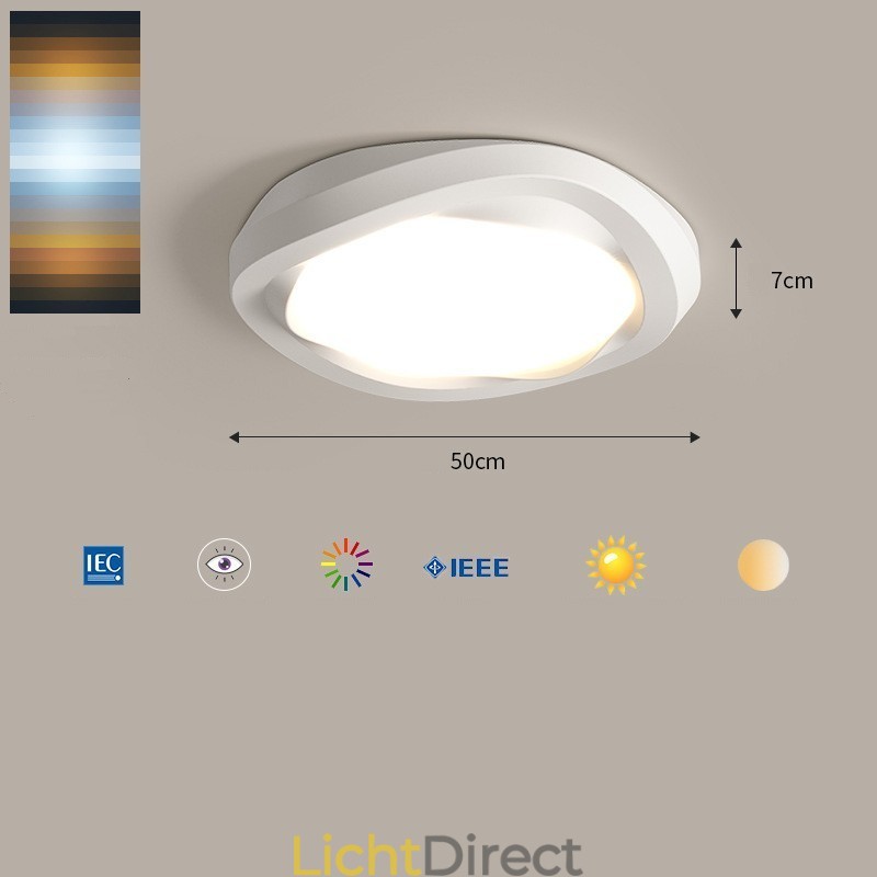Dimbare Full Spectrum Oogbescherming Multi Kleuren Moderne Plafondlamp Binnenverlichting