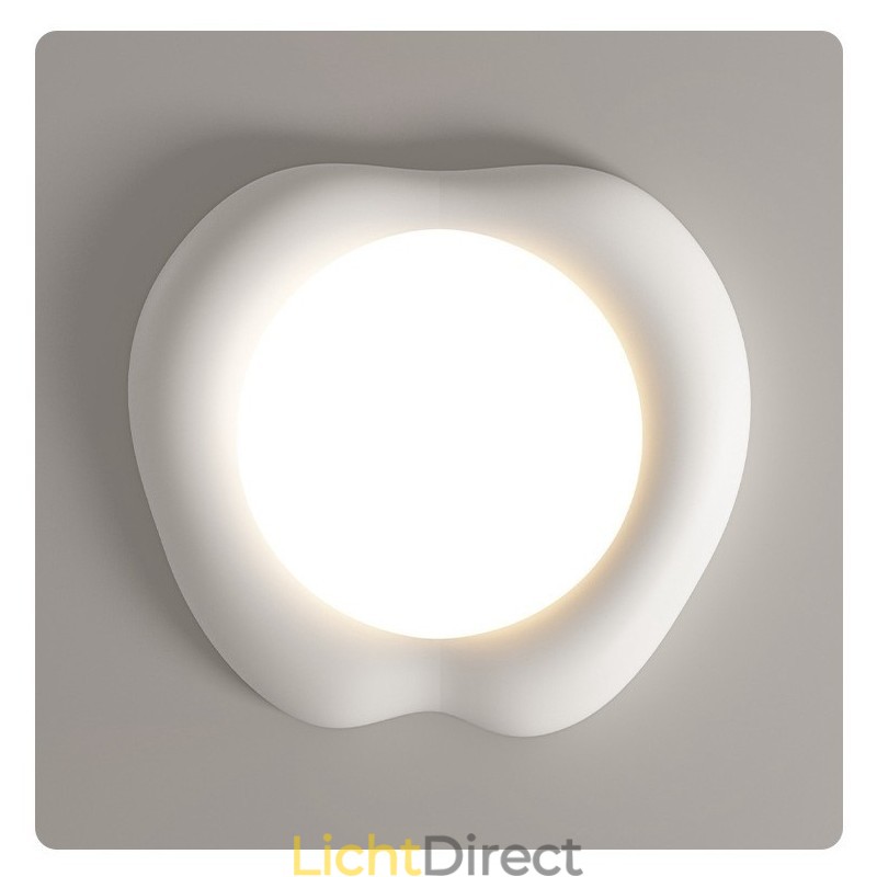 Dimbare Full Spectrum Oogbescherming Multi Kleuren Moderne Plafondlamp Binnenverlichting