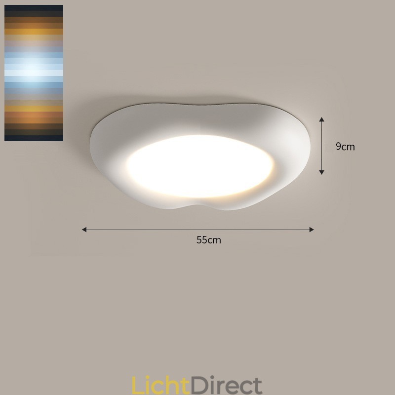 Dimbare Full Spectrum Oogbescherming Multi Kleuren Moderne Plafondlamp Binnenverlichting