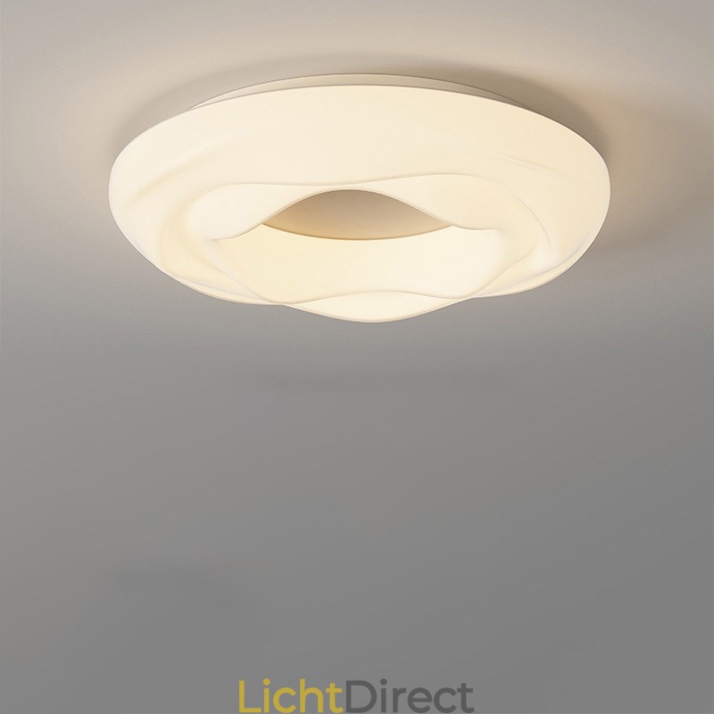 Dimbare ronde moderne plafondlamp voor binnenverlichting