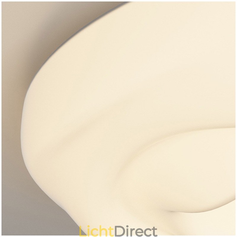 Dimbare ronde moderne plafondlamp voor binnenverlichting