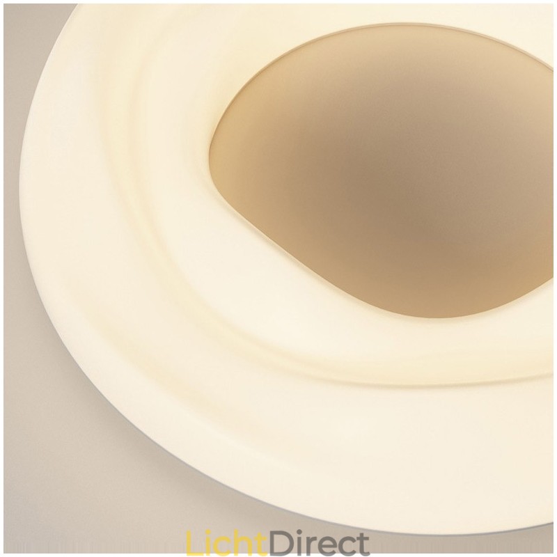 Dimbare ronde moderne plafondlamp voor binnenverlichting