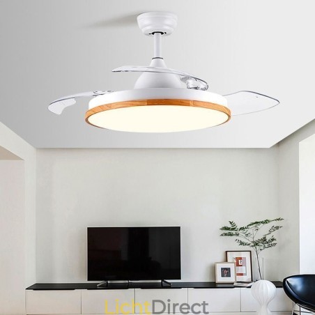 Moderne Inverter Plafondventilator Licht Afstandsbediening Plafondlamp Driekleurige Dimming Moderne Inverter Plafondventilator Licht Afstandsbediening Plafondlamp Driekleurige Dimming