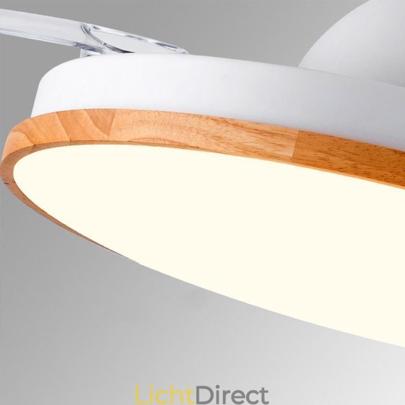 Moderne Inverter Plafondventilator Licht Afstandsbediening Plafondlamp Driekleurige Dimming