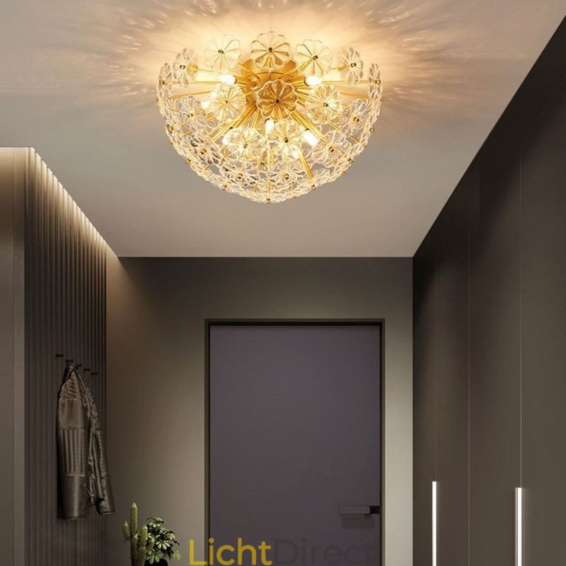 Halfronde glazen plafondlamp in de vorm van een bloem, modern decoratief