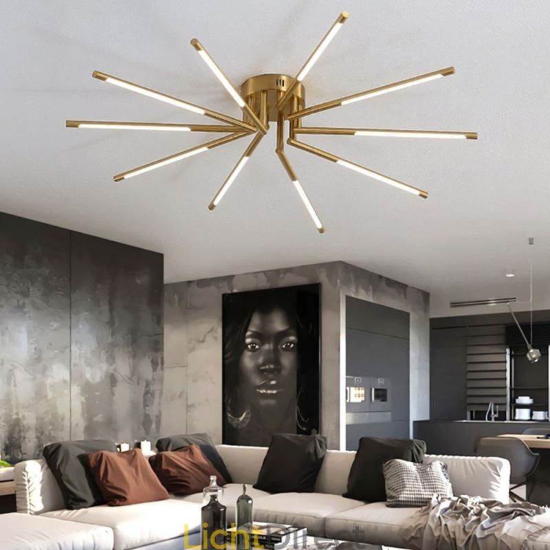 Eenvoudige plafondlamp met vuurwerkmotief