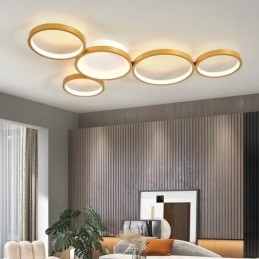Moderne plafondlamp van aluminium met plafondmontage