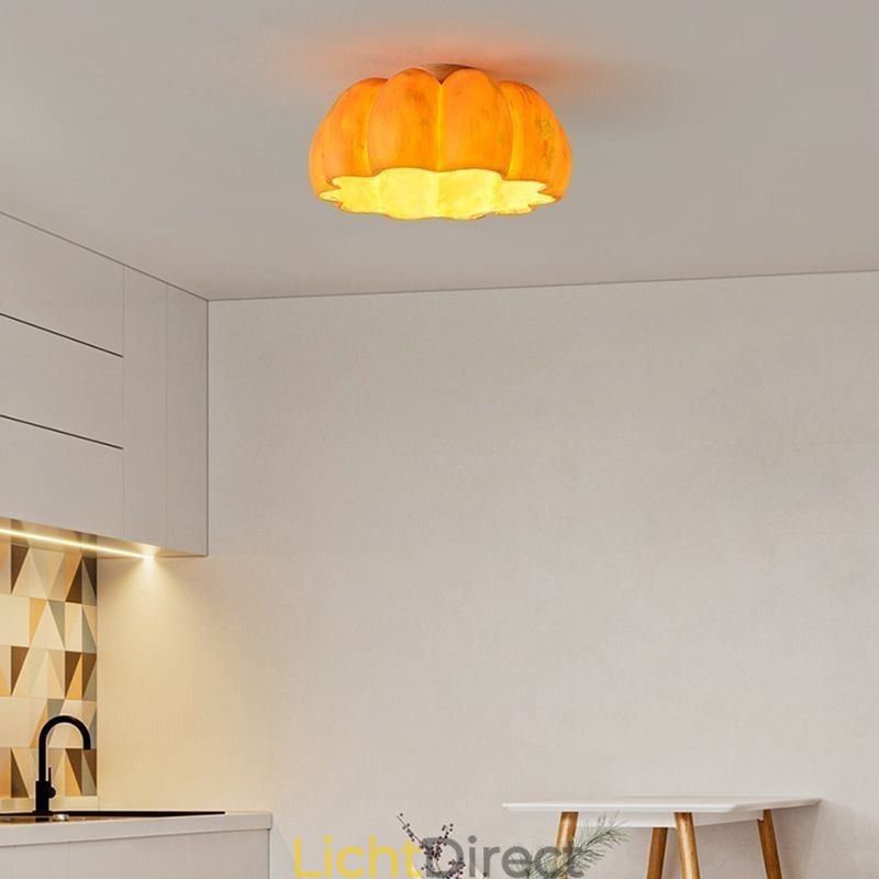Enkelvoudige kop Pompoen Flush Mount Japanse Retro Plafondlampen