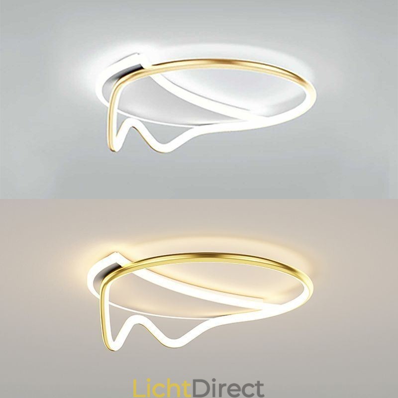 Moderne plafondlamp woondecoratie ring plafondlamp