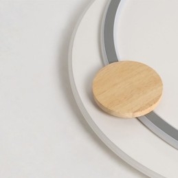 Moderne plafondlamp van acryl met 2 ringen