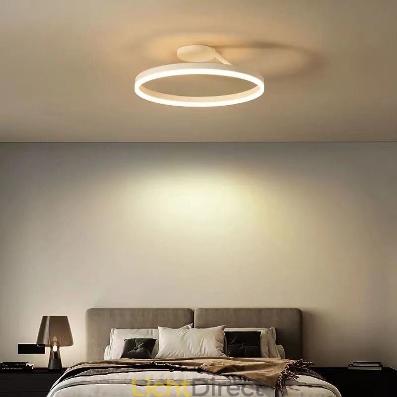 Moderne plafondlamp met cirkelvormige verlichting en acryl lampenkap