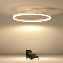 Moderne plafondlamp met cirkelvormige verlichting en acryl lampenkap