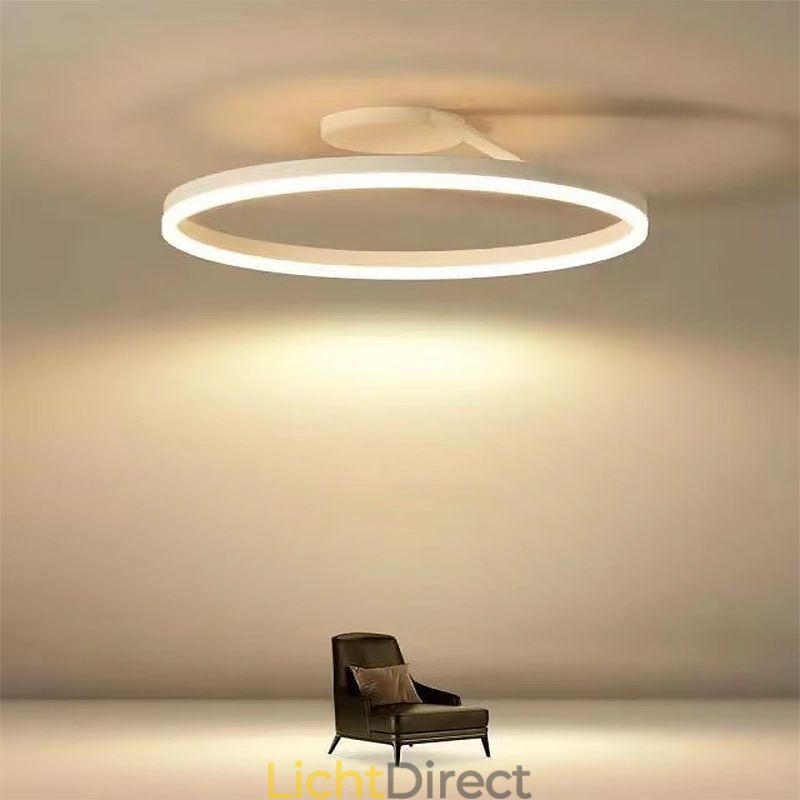 Moderne plafondlamp met cirkelvormige verlichting en acryl lampenkap