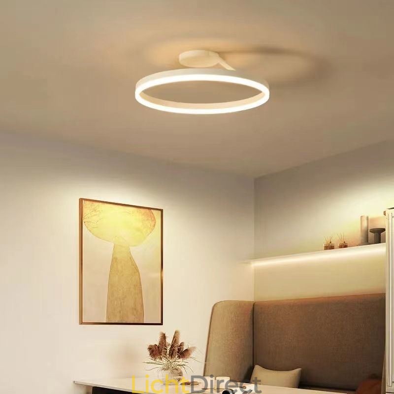 Moderne plafondlamp met cirkelvormige verlichting en acryl lampenkap