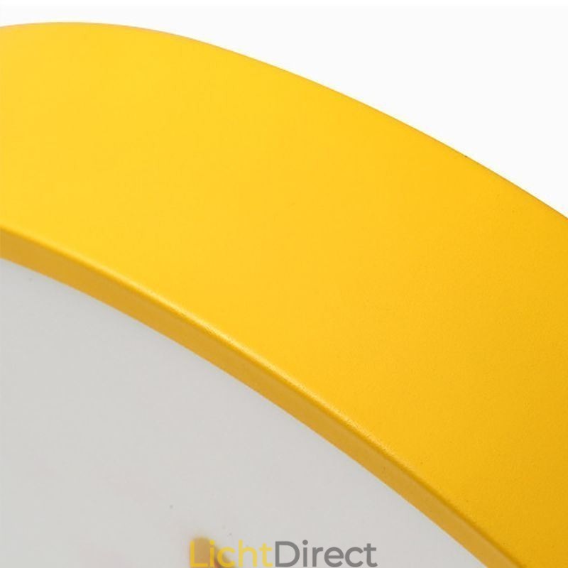 Cartoon plafondlamp voor kinderen met dierenmotief