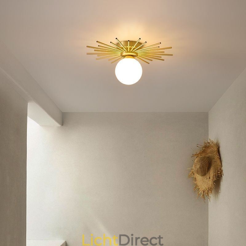Moderne 1-lichts plafondlamp in de vorm van een bolvormige plafondlamp