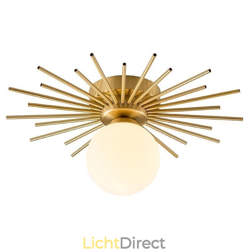 Moderne 1-lichts plafondlamp in de vorm van een bolvormige plafondlamp