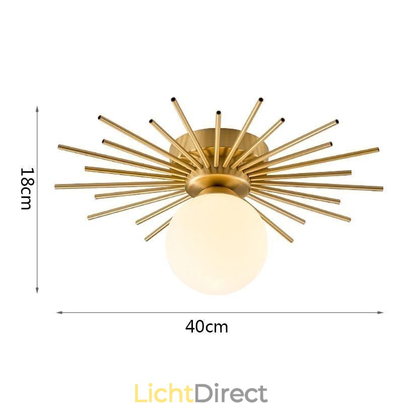 Moderne 1-lichts plafondlamp in de vorm van een bolvormige plafondlamp