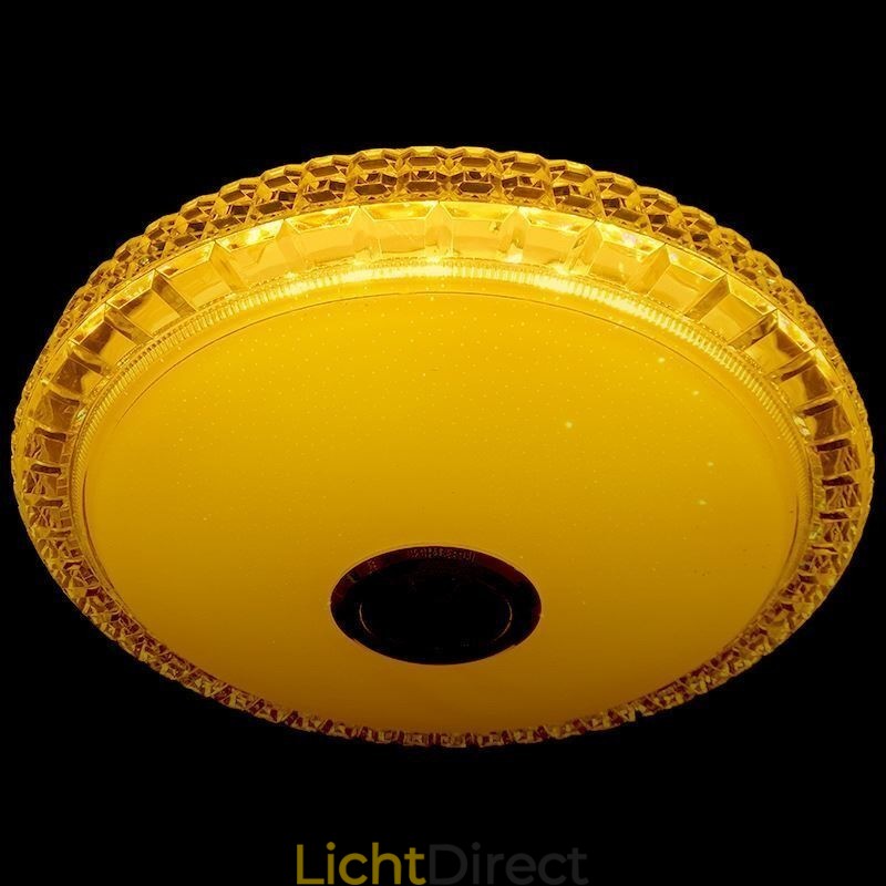 Plafondlamp met afstandsbediening via APP, Bluetooth-muziekluidsprekerlamp