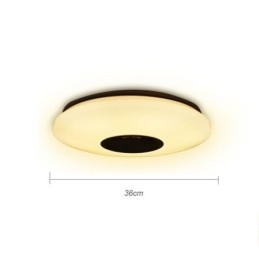 Kleurrijke plafondlamp met Bluetooth-muziekluidspreker en timingfunctie
