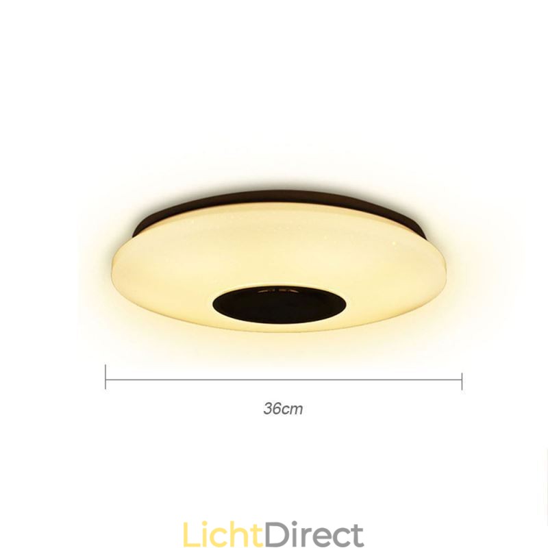 Kleurrijke plafondlamp met Bluetooth-muziekluidspreker en timingfunctie