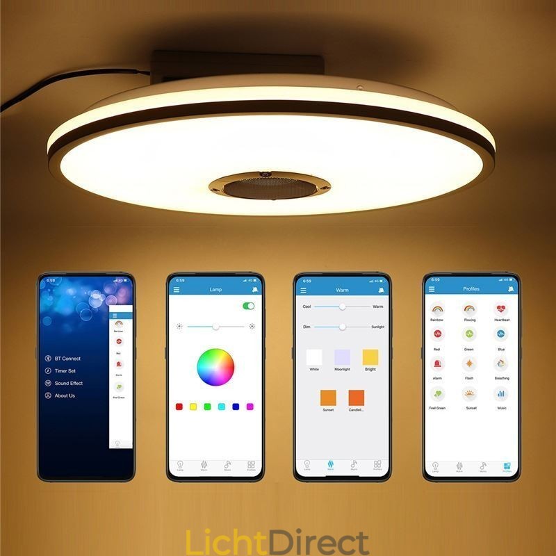Kleurrijke plafondlamp met Bluetooth-muziekluidspreker en timingfunctie