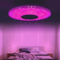 Plafondlamp met decoratieve montage, afstandsbediening via APP, Bluetooth-muziekluidsprekerlamp