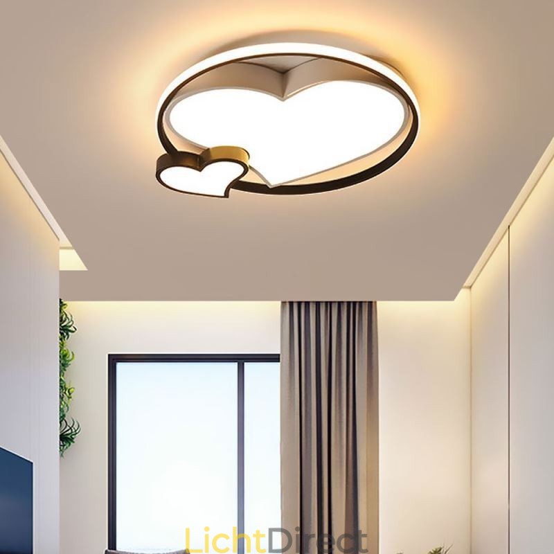 Dubbele Harten Plafondlamp Decoratieve Verlichting