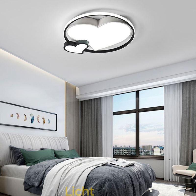 Dubbele Harten Plafondlamp Decoratieve Verlichting
