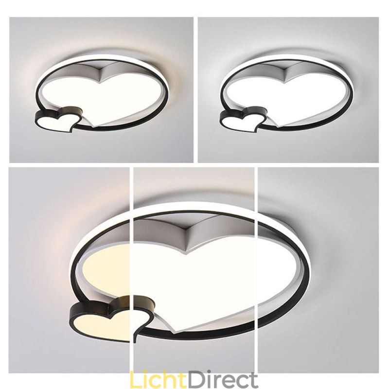 Dubbele Harten Plafondlamp Decoratieve Verlichting